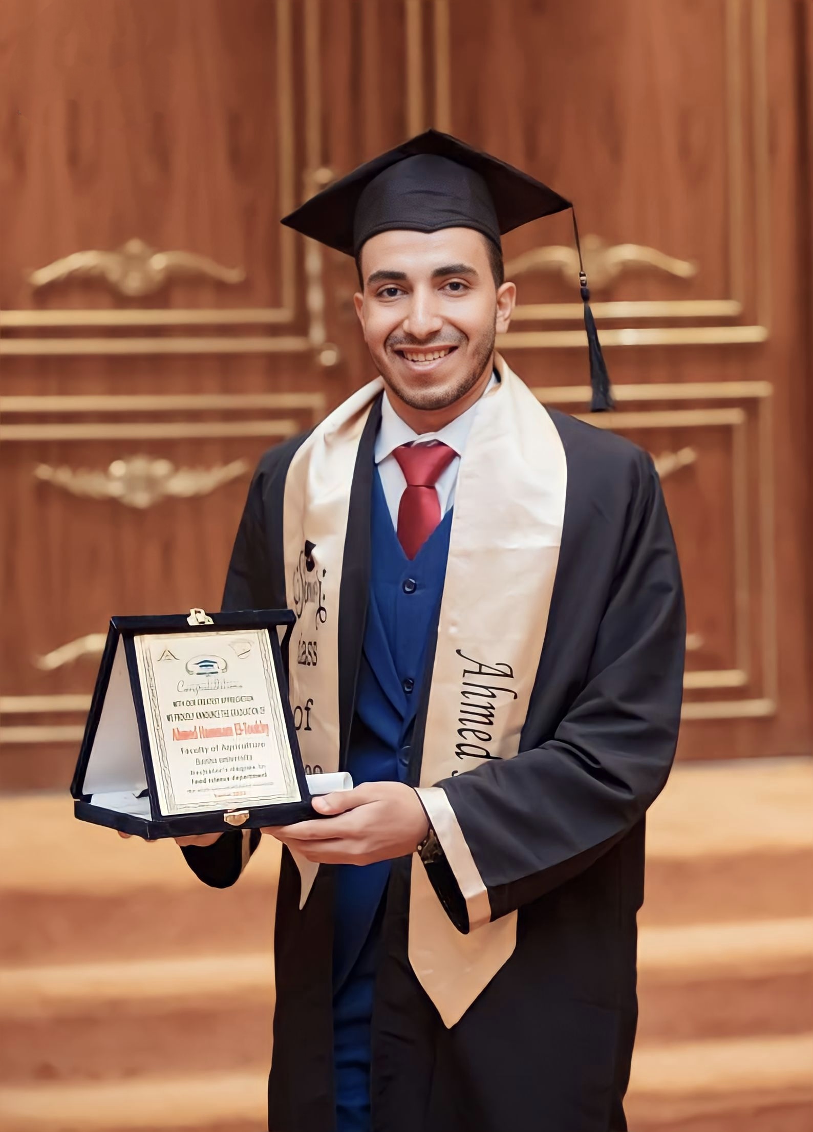 Ahmed Hammam El-Toukhy Mohamed Bahloul 